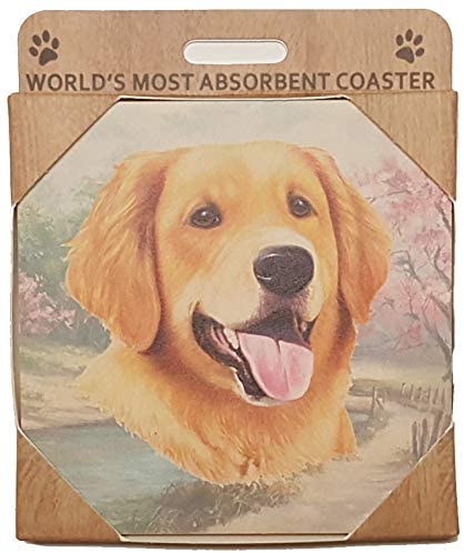 Golden Retriever Coaster Sq.