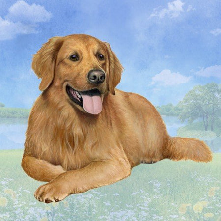 Golden Retriever Coaster Sq.