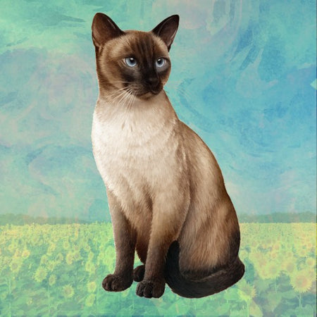 Siamese Cat Coaster Sq.