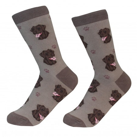 Labrador,Chocolate Socks