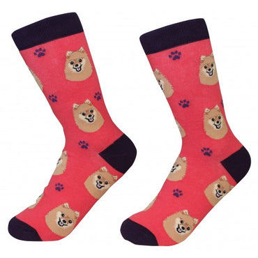 Pomeranian Socks