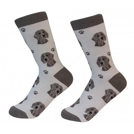 Weimaraner Socks