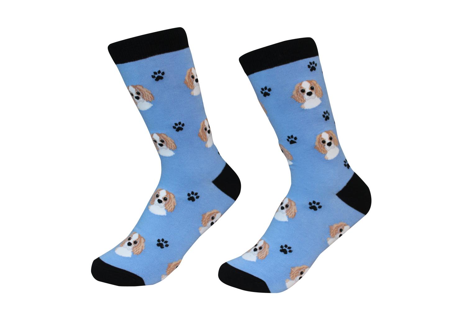 Cavalier King Charles Socks