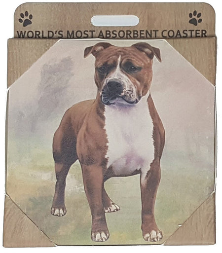 Pit Bull Coaster Sq.