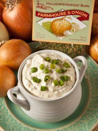 Farmhouse 5 Onion Dip