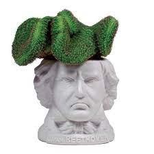 Ludwig Van Beethoven Planter