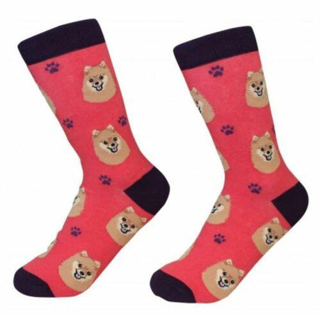 Pomeranian Socks