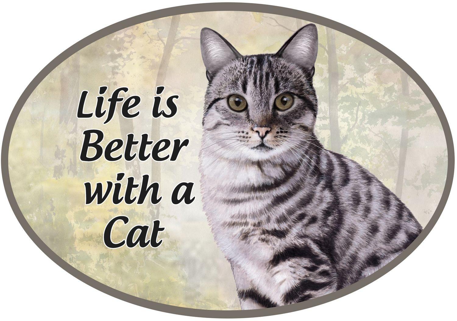 Silver Tabby Car Magnet