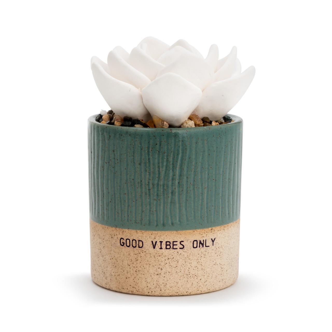 Succulent Oil Diffuser- Good Vibes