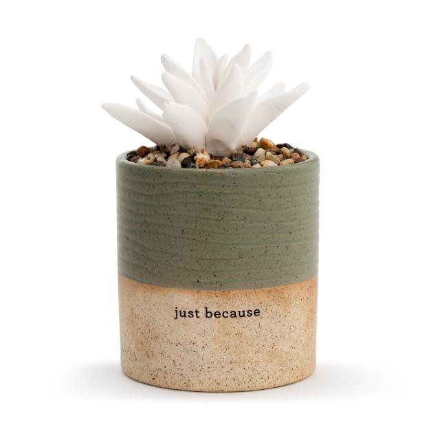 Succulent Oil Diffuser- Just Because