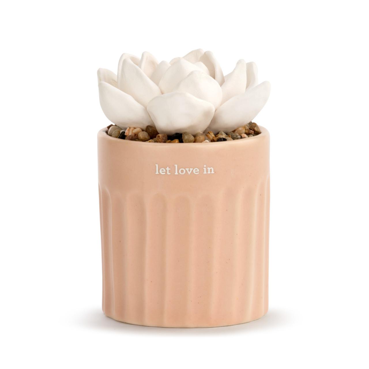 Succulent Oil Diffuser- Love