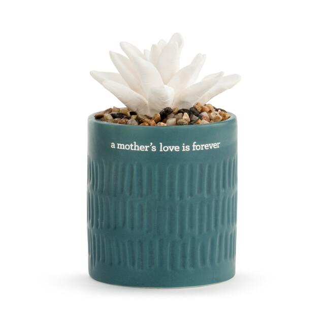 Succulent Oil Diffuser- Mother's Love