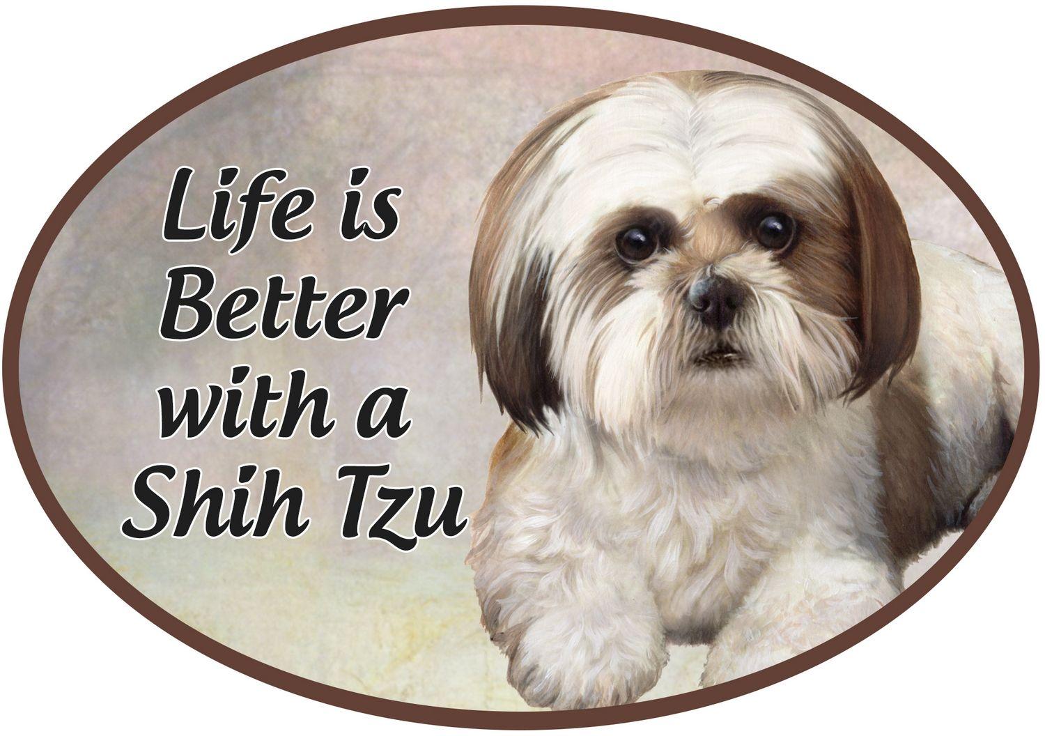 Tan/White Shih Tzu Car Magnet