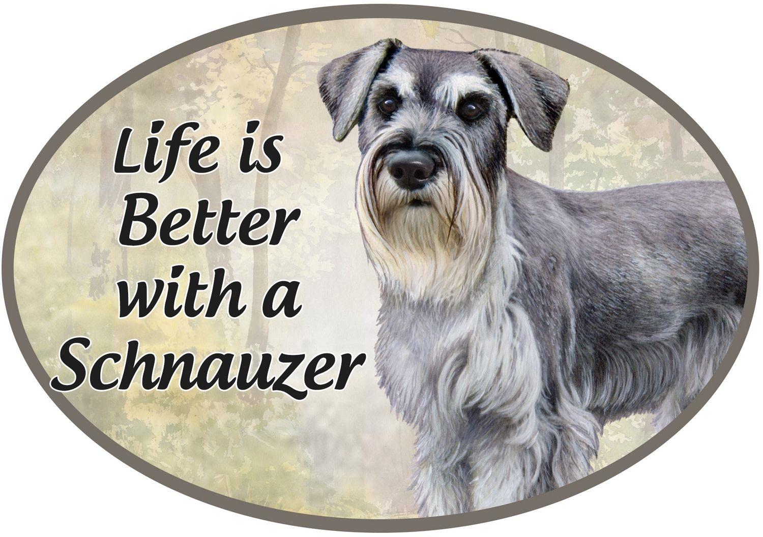 Uncropped Schnauzer Car Magnet