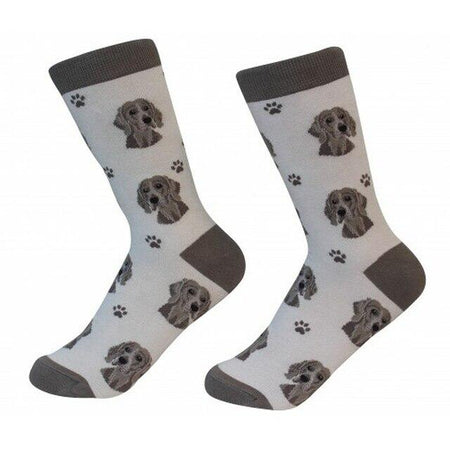 Weimaraner Socks