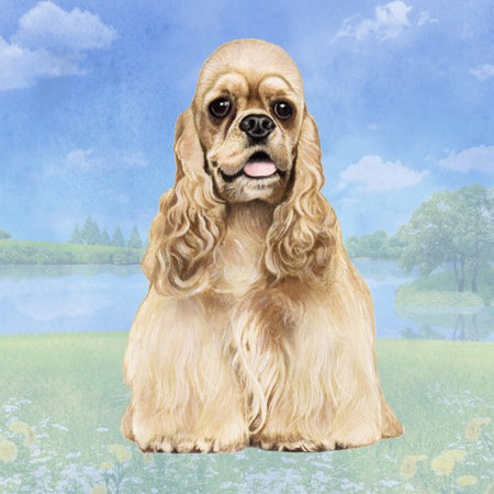 Cocker Spaniel Coaster Sq.