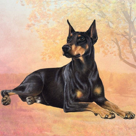 Doberman Coaster Sq.