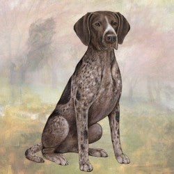 German Shorthair Pointer Coaster Sq.