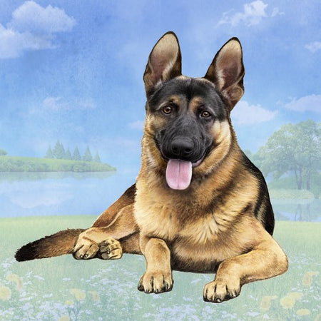 German Shepherd Coaster Sq.