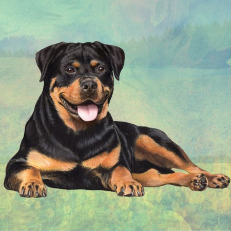 Rottweiler Coaster Sq.